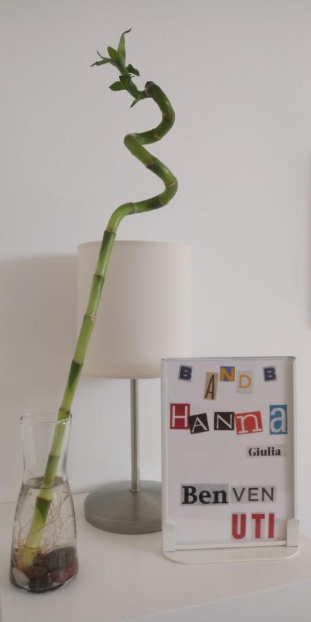 Hannagiulia Bed and breakfast Turín